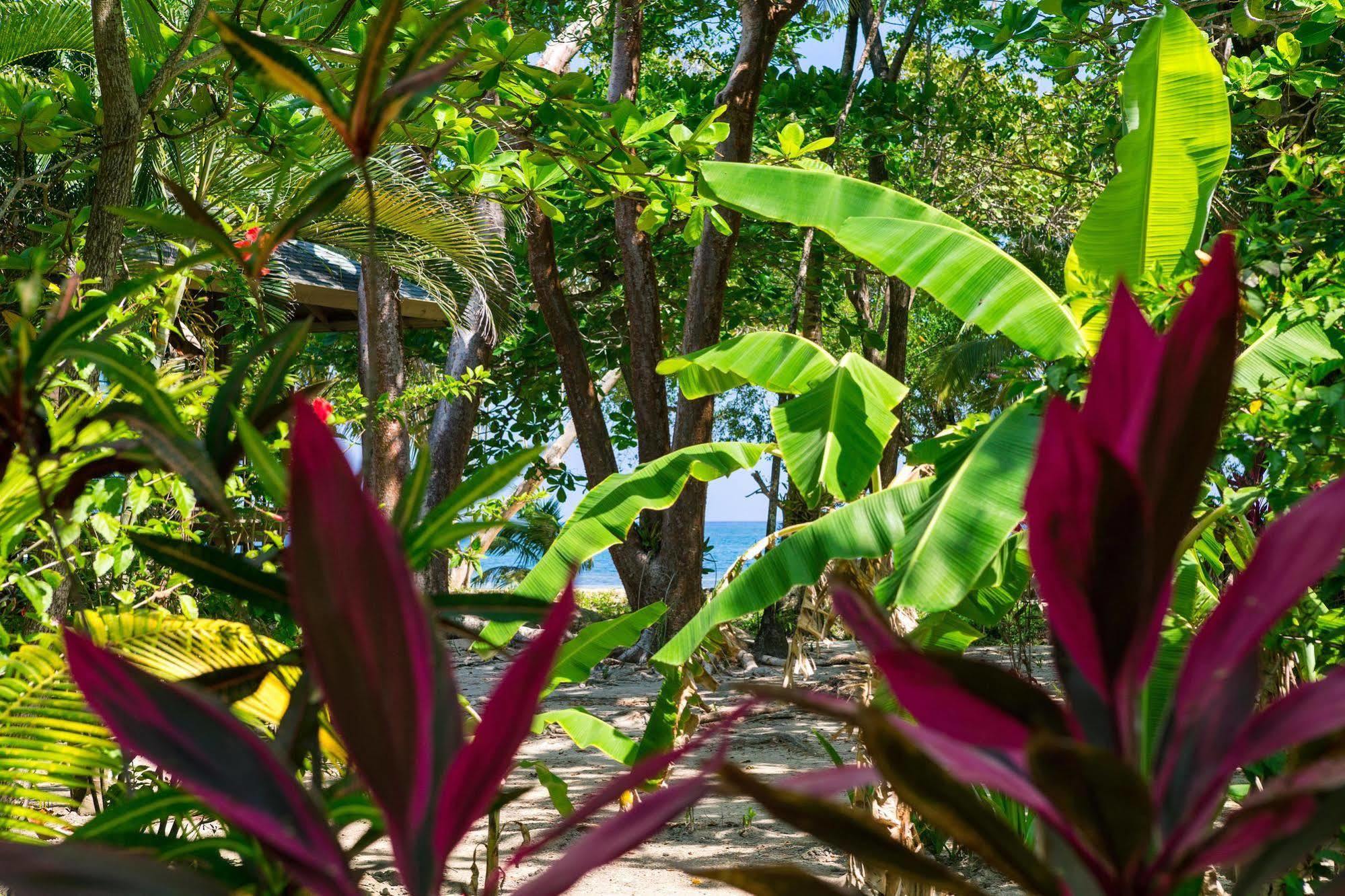 Casa Flores Palmetto Bay Exterior foto